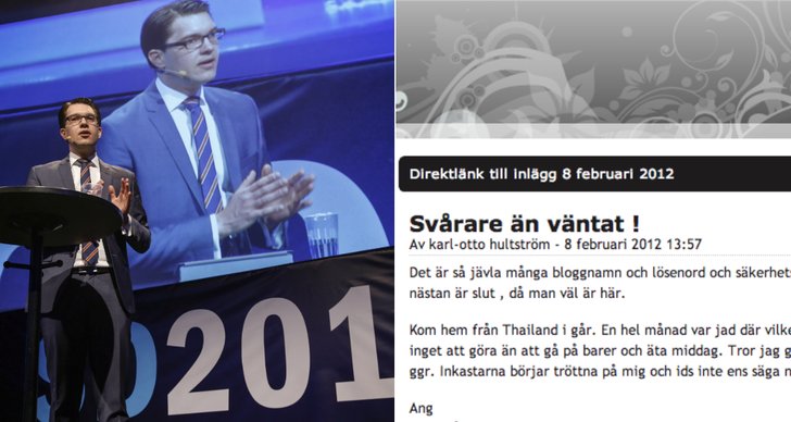 Köp av sexuell tjänst, Sverigedemokraterna